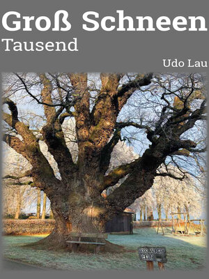 cover image of Groß Schneen 1000 Jahre